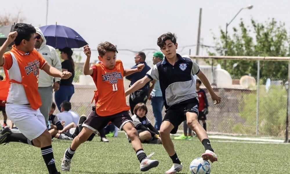 5c612b13-cc16-4076-90a1-58a8b1430bdb