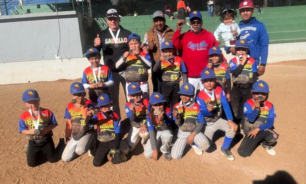 WhatsApp Image 2025-12-10 at 08.09.12