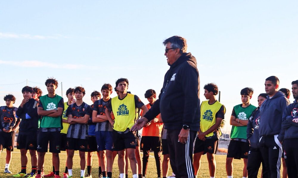 WhatsApp Image 2026-01-22 at 08.12.51