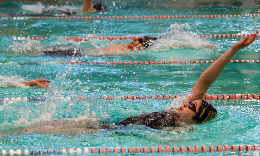 452ff8a0-950c-4b34-8931-ef43a010e61e