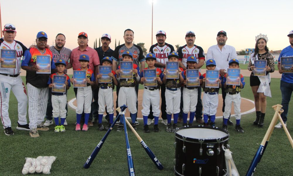 WhatsApp Image 2026-03-01 at 16.26.38