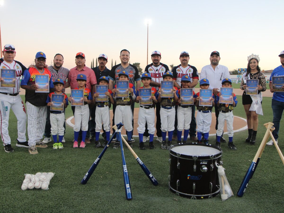 WhatsApp Image 2026-03-01 at 16.26.38