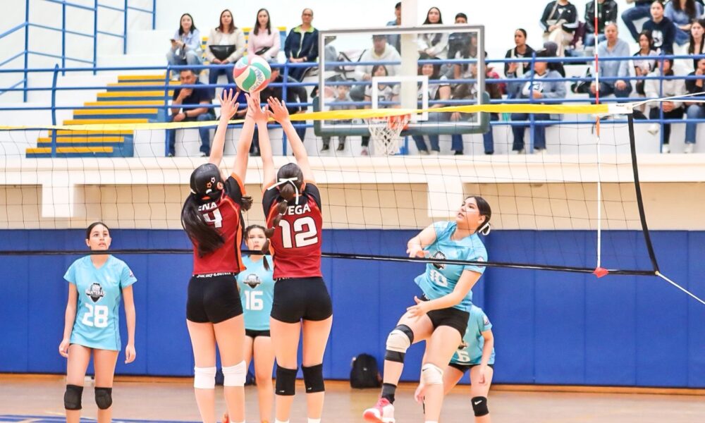 f0a636c2-8e7f-4642-815c-ec91928161aa