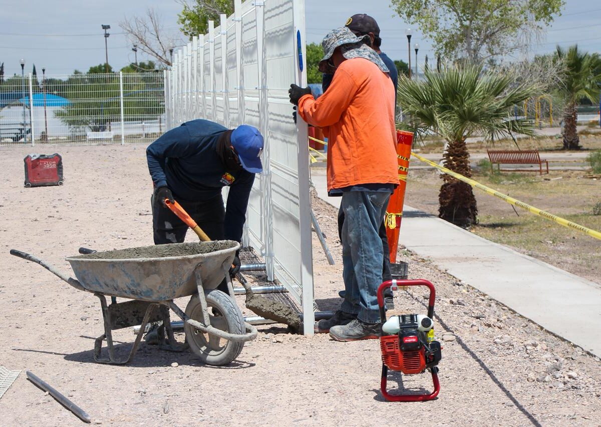 WhatsApp Image 2026-04-08 at 08.10.56