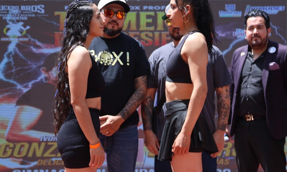 WhatsApp Image 2026-04-17 at 14.23.32